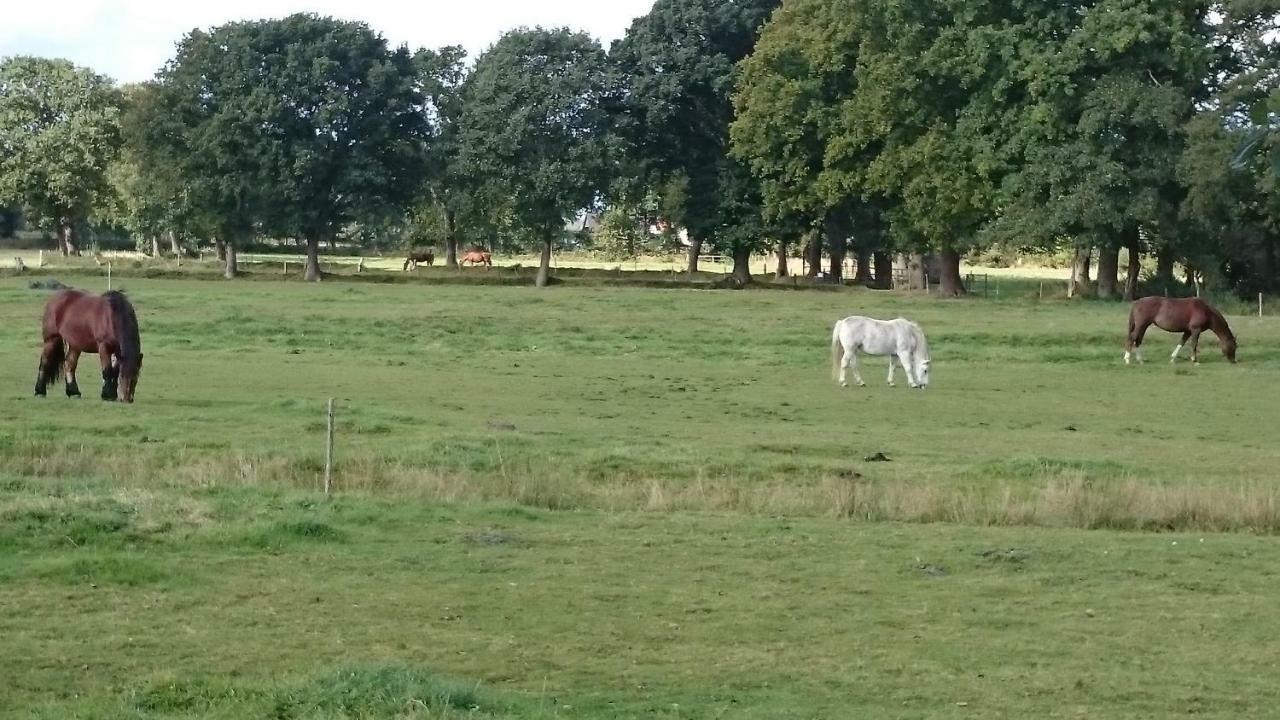 Gästehaus am Brockeswald Cuxhaven Exteriör bild